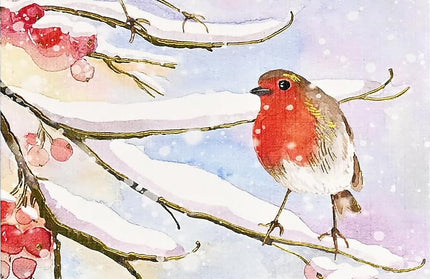 Caja Tarjetas y Sobres - English Robins In Snow