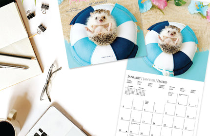 Calendario 2026 Pared Mini 12M - Happiest Hedgehogs