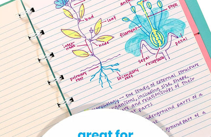 Lápiz Duo Pluma + Resaltador