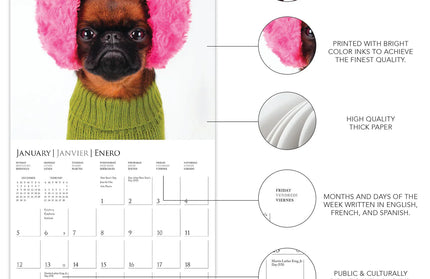 Calendario 2025 Mini Pared 12M - Pawparazzi