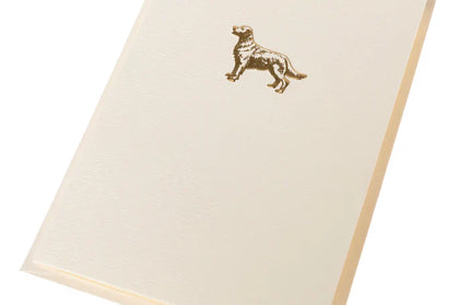 Caja Tarjetas Golden Retriever