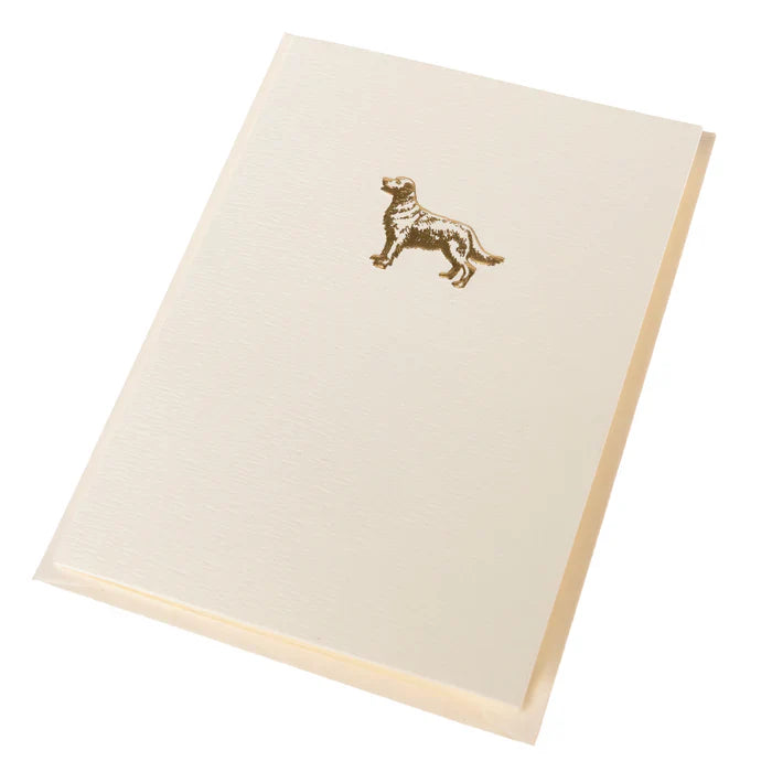 Caja Tarjetas Golden Retriever