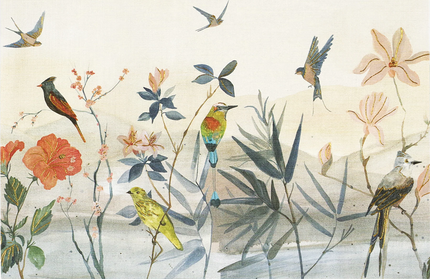 Caja Tarjetas y Sobres - Bird Garden