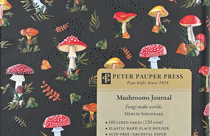 Libreta Chica Composicion - Mushrooms
