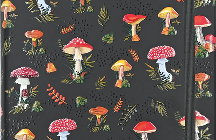 Libreta Chica Composicion - Mushrooms