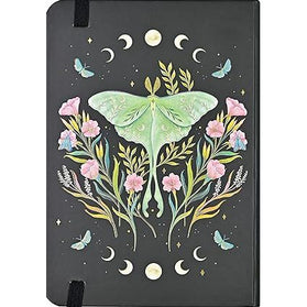 Agenda 2025 Luna Moth 16 Meses