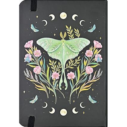 Agenda 2025 Luna Moth 16 Meses