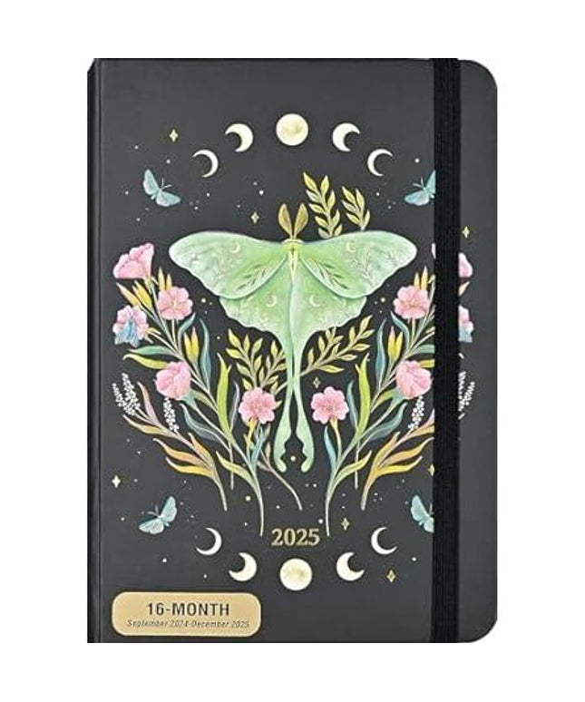 Agenda 2025 Luna Moth 16 Meses