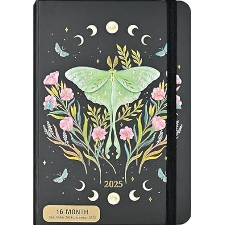 Agenda 2025 Luna Moth 16 Meses