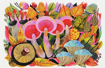 Caja Tarjetas y Sobres - Mushroom Medley