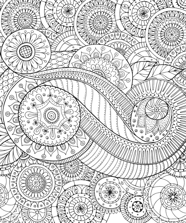 Libro para Pintar - Peaceful Paisleys