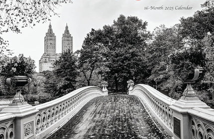 Calendario 2025 Mini Pared 12M - New York