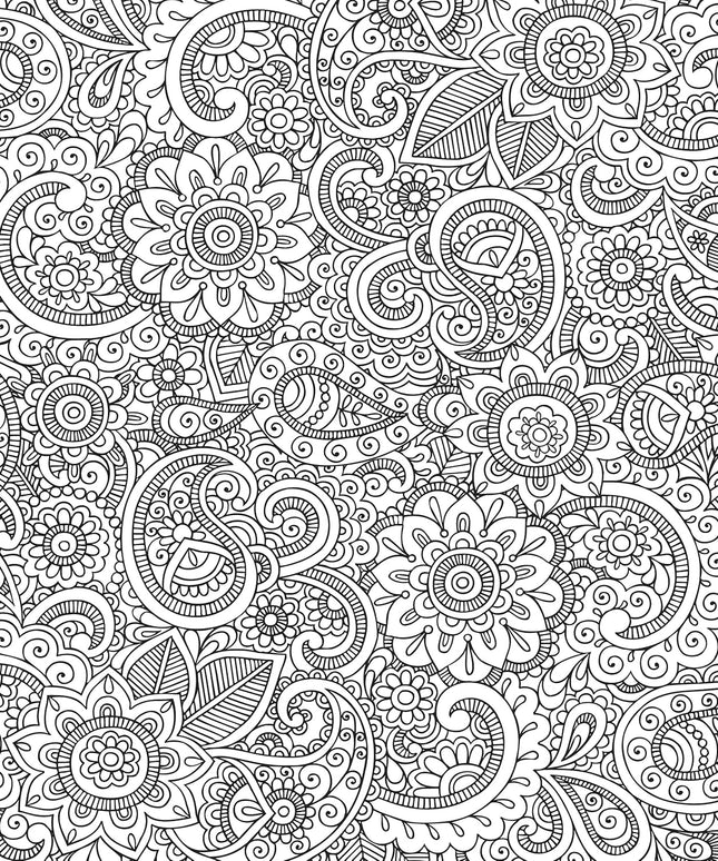 Libro para Pintar - Peaceful Paisleys