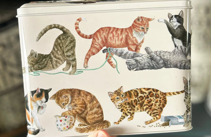 Caja Metálica Gatitos