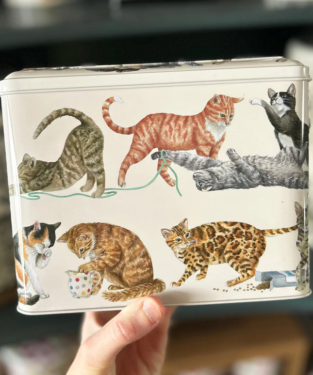 Caja Metálica Gatitos