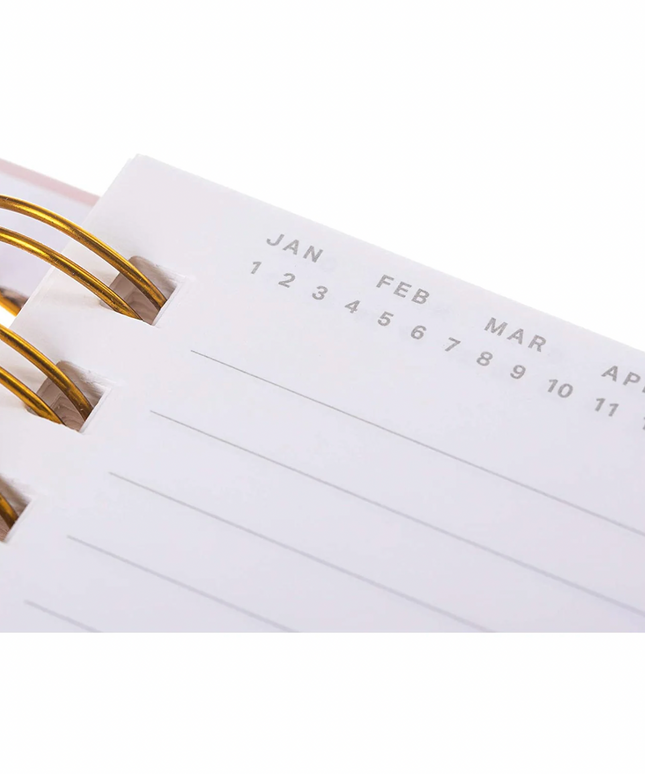 Cuaderno Perritos Rosados