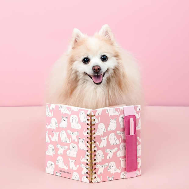 <h3>PET LOVER</h3>