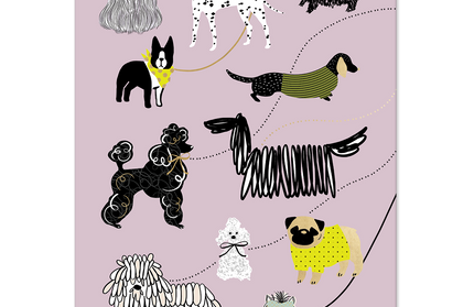 Caja 12 Tarjetas y Sobres Perros