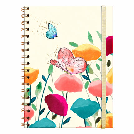 Collection image for: Planificadores