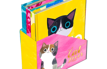 Set Mini Cuadernos con caja Planet Cat