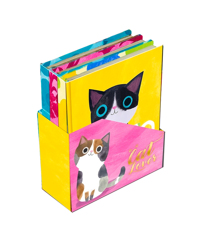 Set Mini Cuadernos con caja Planet Cat