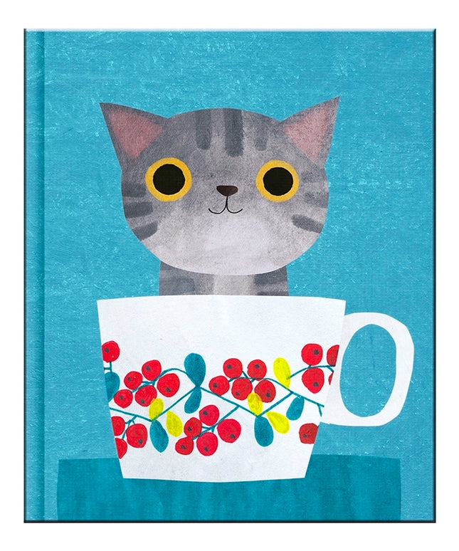 Set Mini Cuadernos con caja Planet Cat