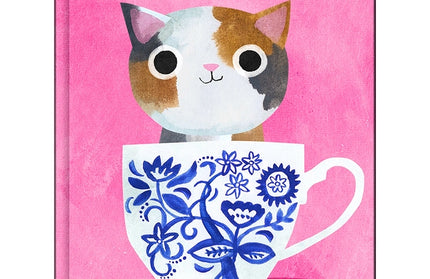 Set Mini Cuadernos con caja Planet Cat