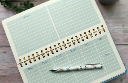 Planificador Semanal Peter Rabbit - World Of Potter - Mixed