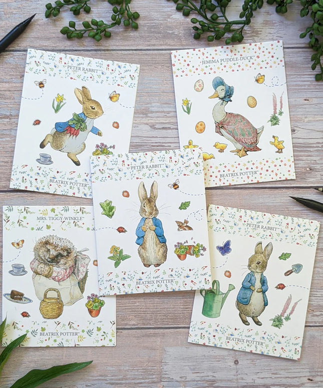 Tarjeta de Notas y Bolígrafo en Caja de Regalo Peter Rabbit