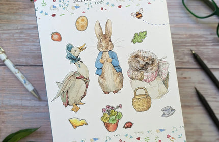 Set de 20 Tarjetas y 40 Sobres Peter Rabbit