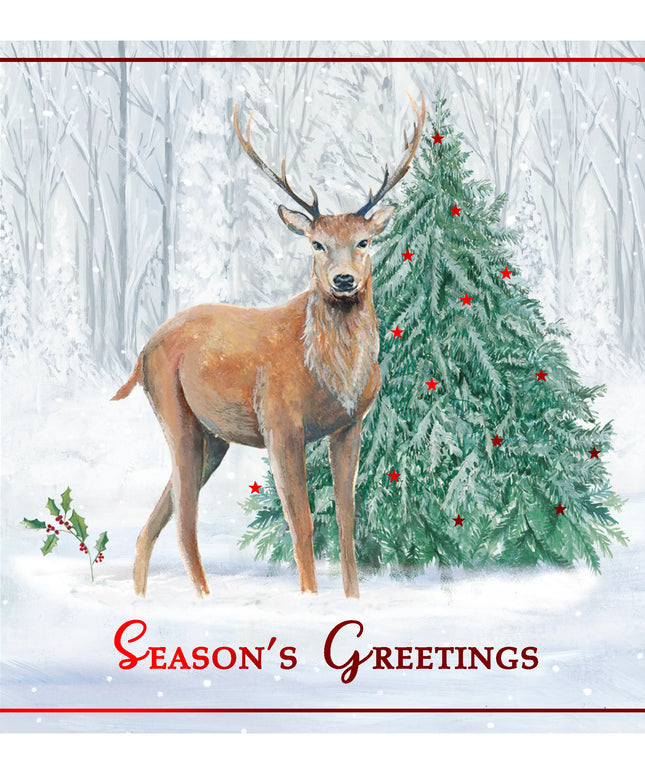 Caja 12 Tarjetas con Sobre Navidad - Renos Kraft