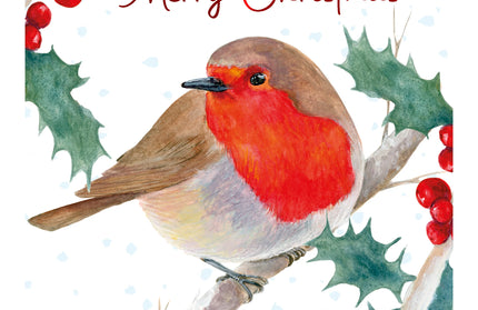 Caja 12 Tarjetas con Sobre Navidad - Pájaros