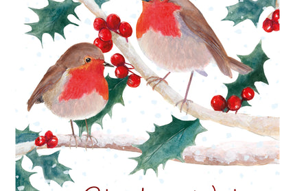 Caja 12 Tarjetas con Sobre Navidad - Pájaros