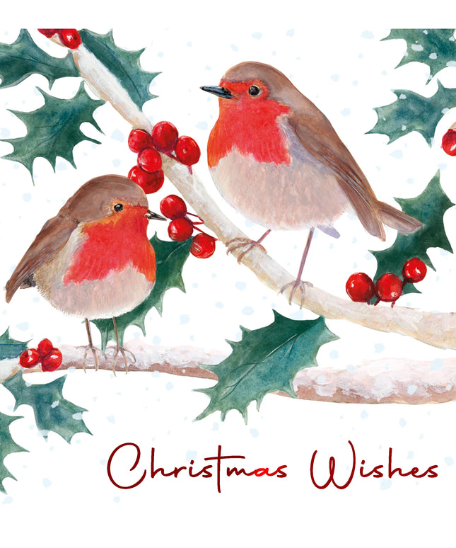 Caja 12 Tarjetas con Sobre Navidad - Pájaros