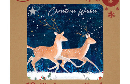 Caja 12 Tarjetas con Sobre Navidad - Renos