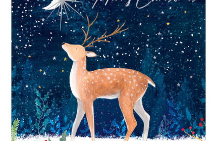 Caja 12 Tarjetas con Sobre Navidad - Renos