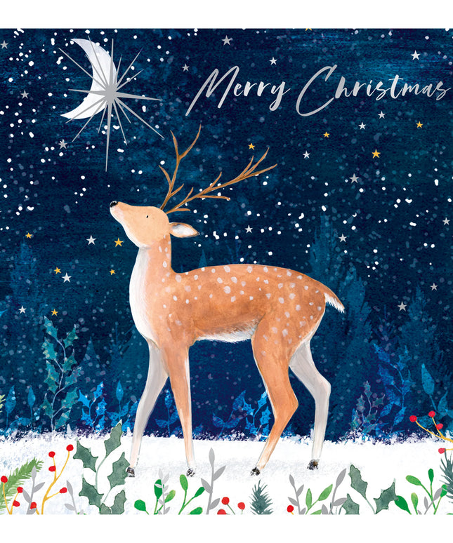 Caja 12 Tarjetas con Sobre Navidad - Renos