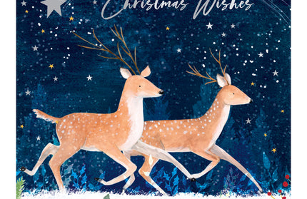 Caja 12 Tarjetas con Sobre Navidad - Renos