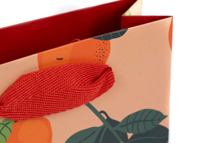 Bolsa Regalo Chica - Naranjas