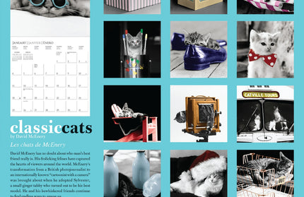 Calendario 2026 Pared 12M - Classic Cats