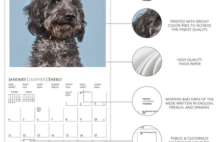Calendario 2026 Pared 12M - Judgmental Dogs