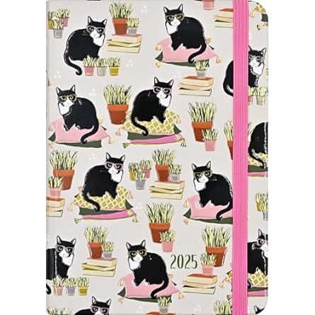 Agenda 2025 Smarty Cats 16 Meses