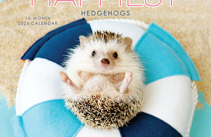 Calendario 2026 Pared Mini 12M - Happiest Hedgehogs