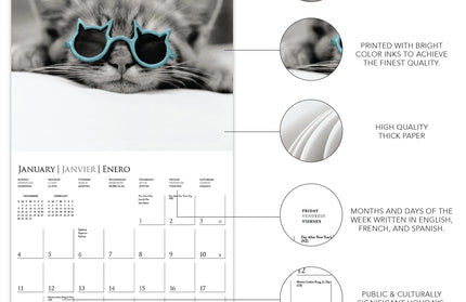 Calendario 2026 Pared 12M - Classic Cats