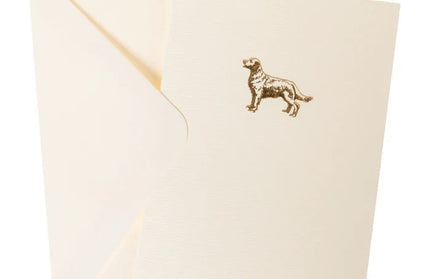 Caja Tarjetas Golden Retriever