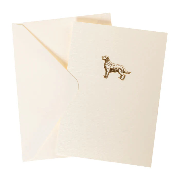Caja Tarjetas Golden Retriever
