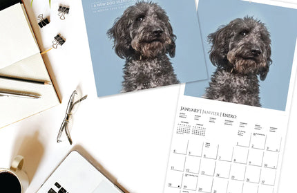 Calendario 2026 Pared 12M - Judgmental Dogs