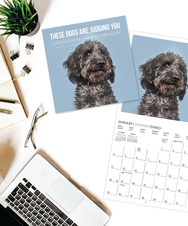 Calendario 2026 Pared 12M - Judgmental Dogs