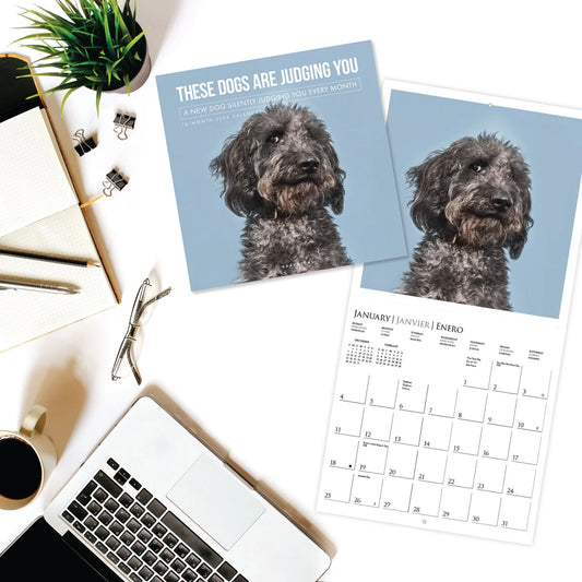 Calendario 2026 Pared 12M - Judgmental Dogs