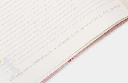 Libreta Grande El Principito